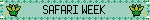 SAFARI WEEK 2